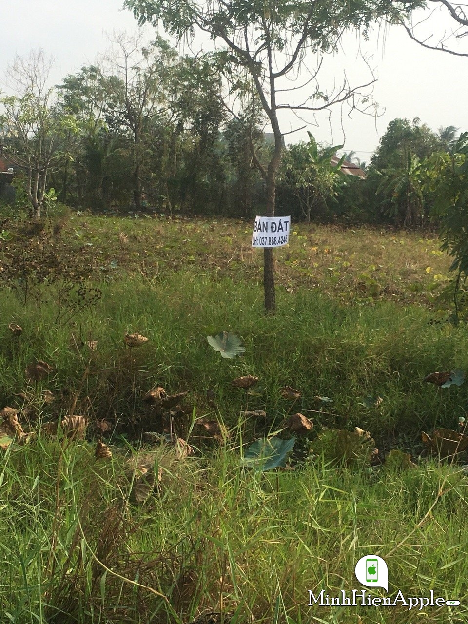 Đất Hưng Long-Bình Chánh