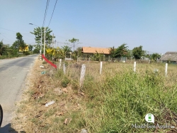 Đất Cần Giuộc Long An