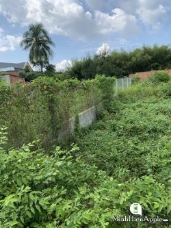 Đất Củ Chi