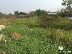 Đất Hưng Long-Bình Chánh