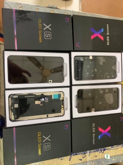 Giá màn hình iPhone - iPad