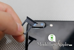 Khay sim iphone 8
