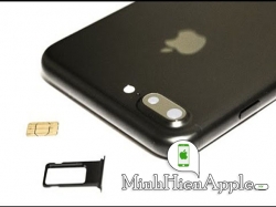 Khay sim iPhone 8 Plus