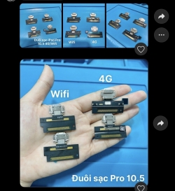 nẹp đuôi xạc iphone
