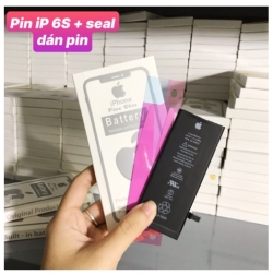 Pin iPhone 6S Zin