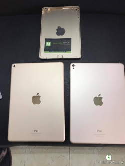 Vỏ Lưng Các Loại iPad